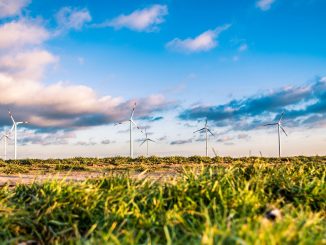 Nachhaltigkeit (ESG) in der Finanzbranche