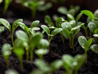 Product Governance